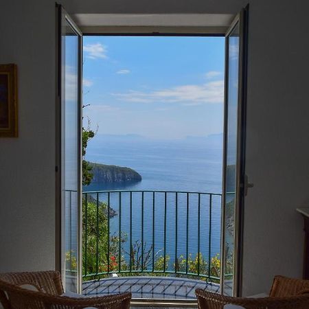 Il Giardino Selvatico Di Succellario - Apartments Barano dʼIschia Exteriér fotografie