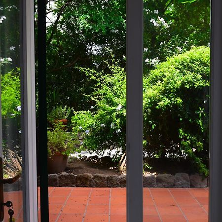 Il Giardino Selvatico Di Succellario - Apartments Barano dʼIschia Exteriér fotografie
