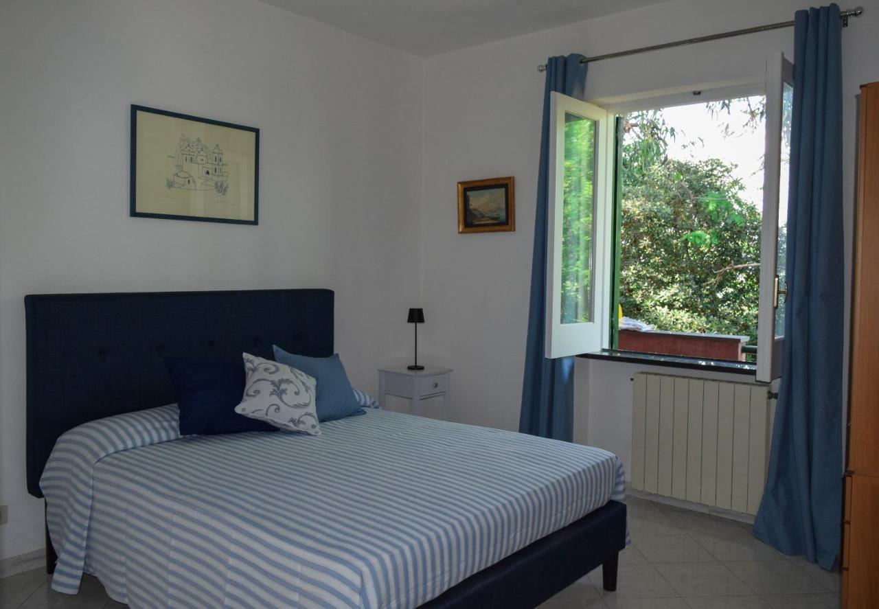 Il Giardino Selvatico Di Succellario - Apartments Barano dʼIschia Exteriér fotografie