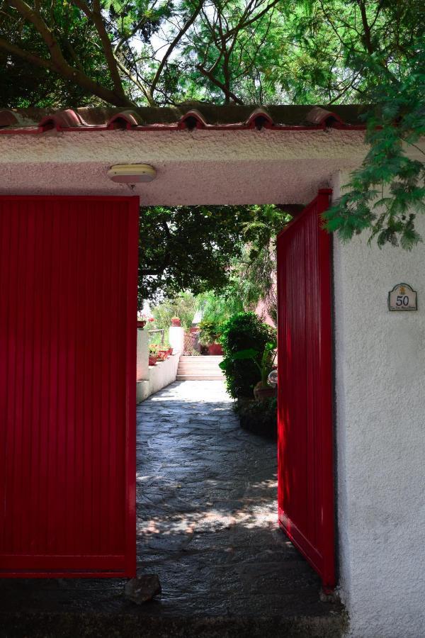 Il Giardino Selvatico Di Succellario - Apartments Barano dʼIschia Exteriér fotografie