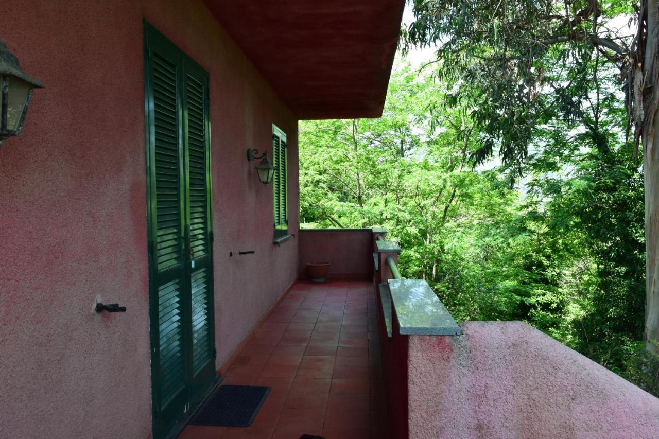 Il Giardino Selvatico Di Succellario - Apartments Barano dʼIschia Exteriér fotografie